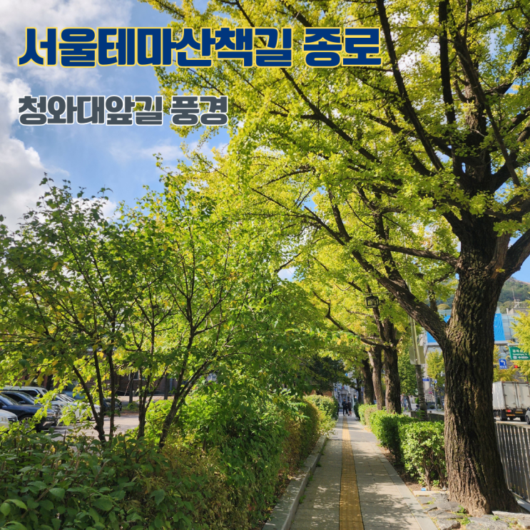  서울테마산책길 청와대앞길 종로 서촌마을 나들이 산책 코스 가볼만한 곳