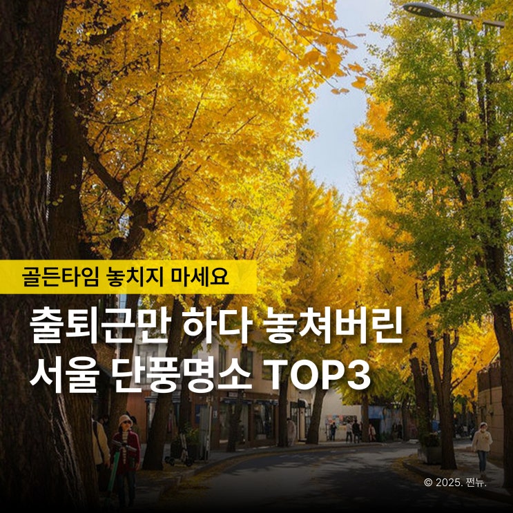  지금부터 단 2주만 펼쳐지는 황금빛 거리, 서울 단풍 명소 TOP3