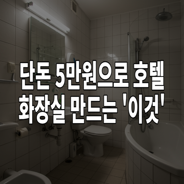  단돈 5만원으로 호텔 화장실 만드는 '이것'