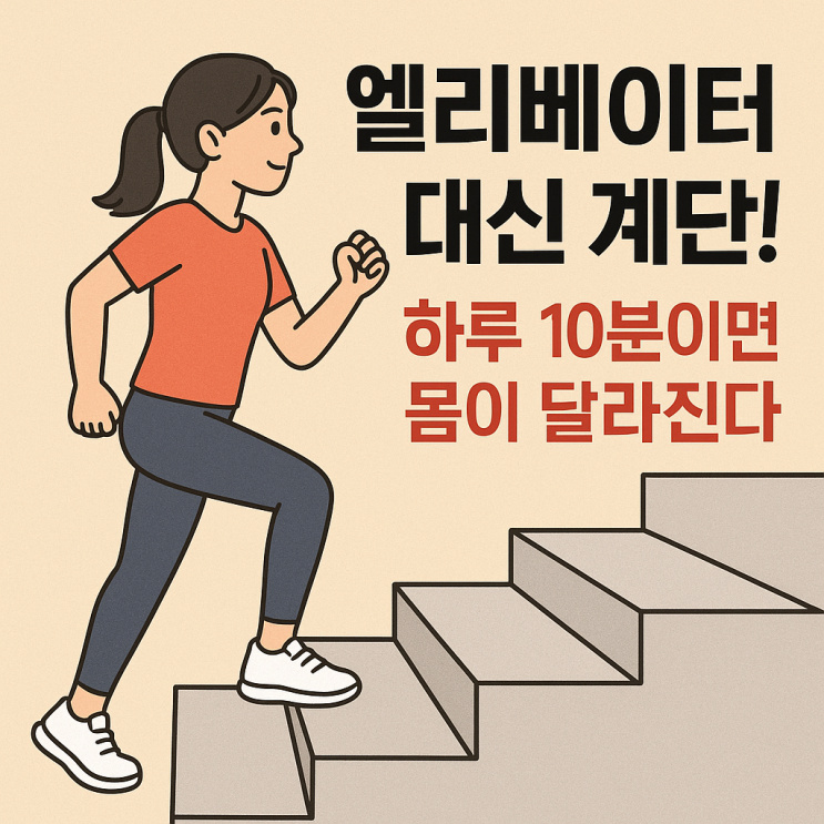  ️계단 오르기 운동 효과와 주의점