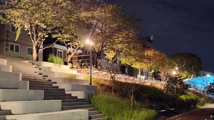  주말 서대문구 불광천 산책