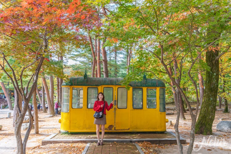 설악산 단풍 구경 설악산 케이블카 예약 권금성 신흥사