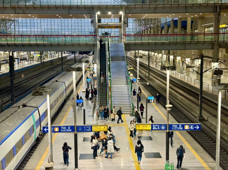  KTX 할인받는 법 코레일 할인 예매 방법 달려라 청춘