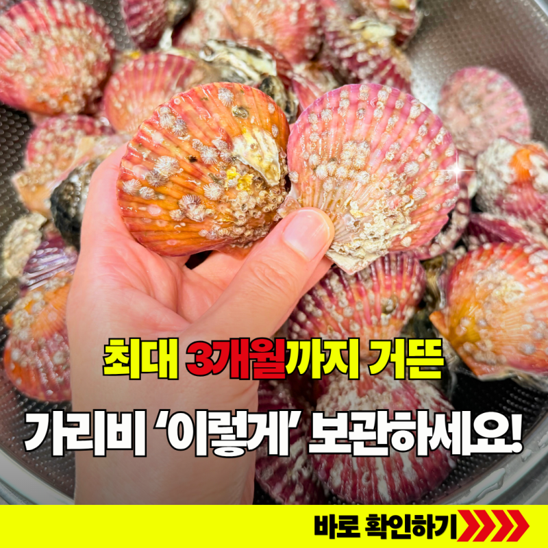 이렇게 보관하면 최대 3개월까지 거뜬! 가리비 냉장 냉동 보관법