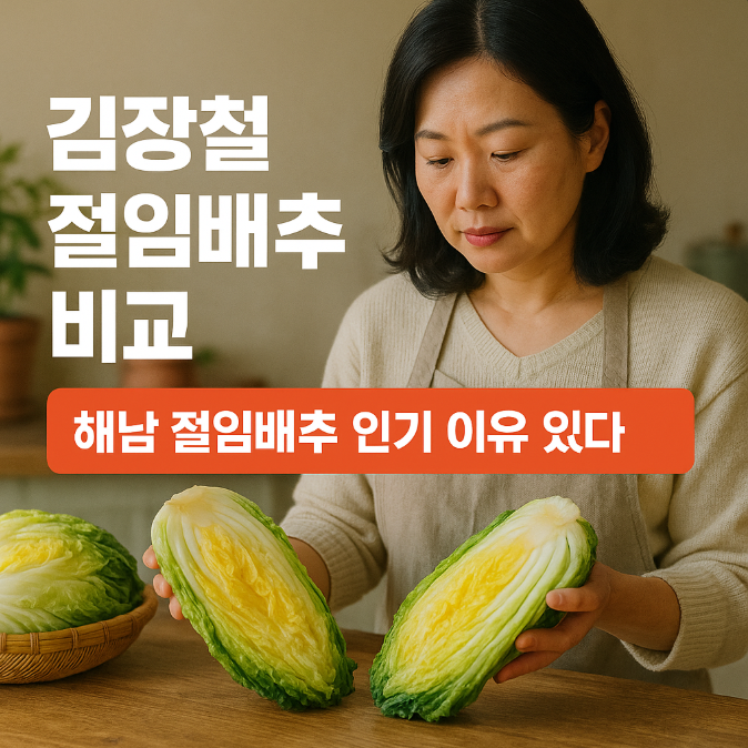  김장철 절임배추 비교, 해남 절임배추 인기 이유 있다!