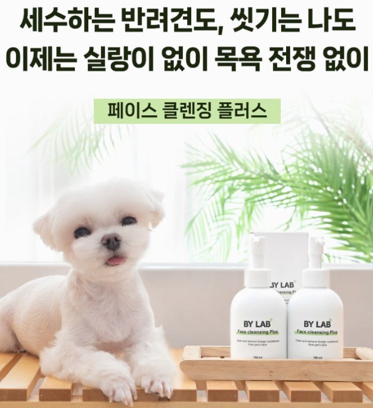  “강아지 얼굴 전문 클렌저 – 바이랩 페이스 클렌징 플러스로 눈물자국·눈곱까지 깔끔하게”