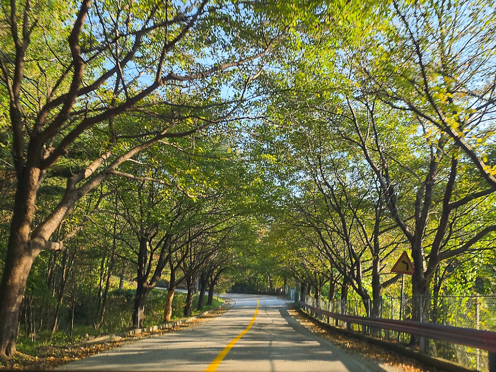 삼막골 사진 5
