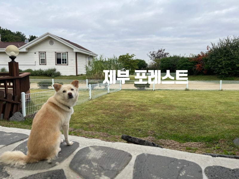 사진 8