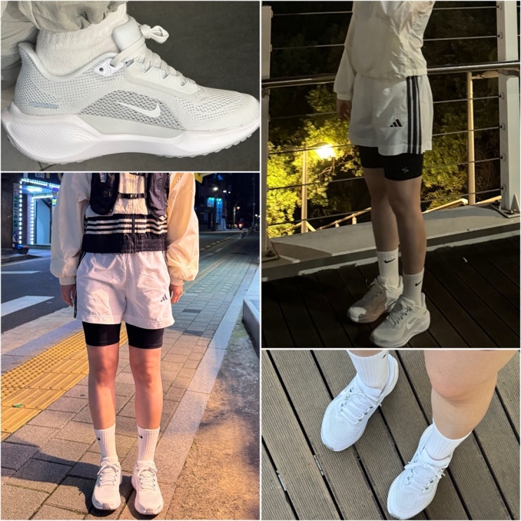  러닝 초보 운동화 페가수스41 사이즈 / 후기 입문 러닝화 추천