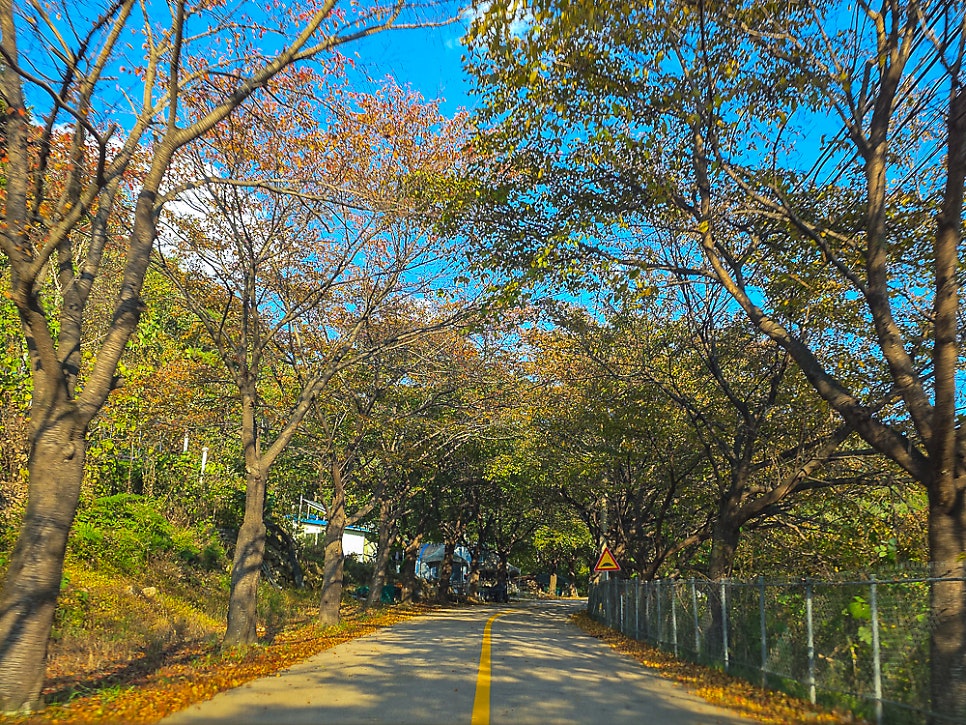 삼막골 사진 3