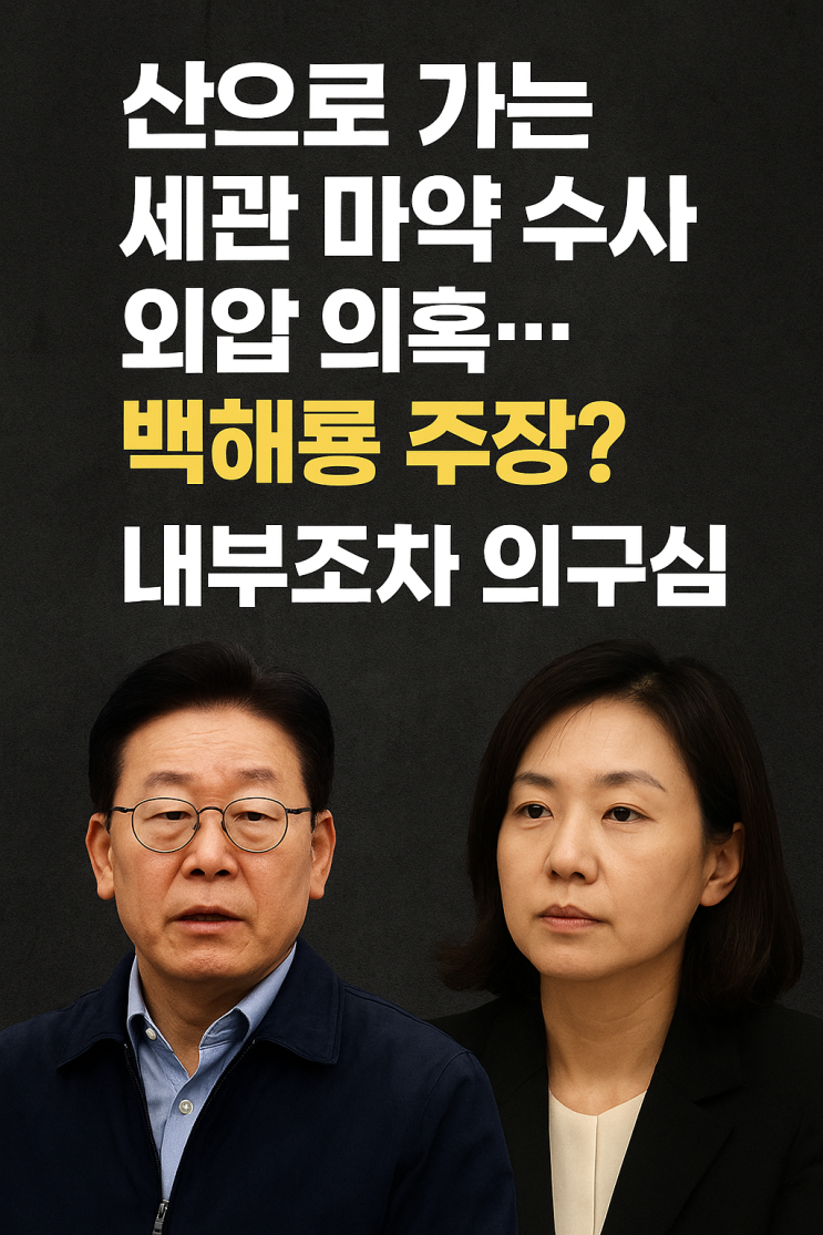 “점점 '산'으로 가는 <b>세관</b> 마약 수사 <b>외압 의혹</b>…"<b>백해룡</b> 주장?... 