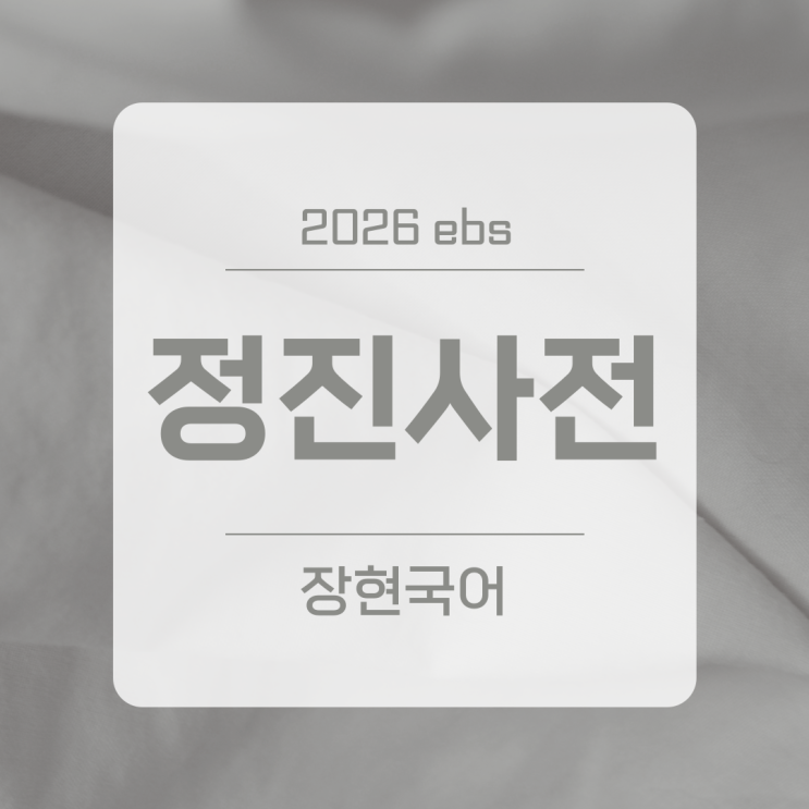  정진사전 해석과 줄거리 ㅣ 2026 수특 125p