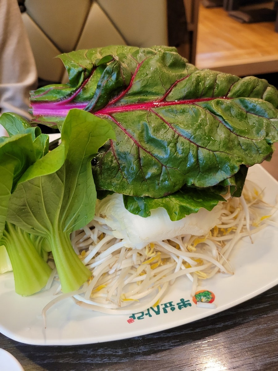 다채샤브 신정점 사진 5
