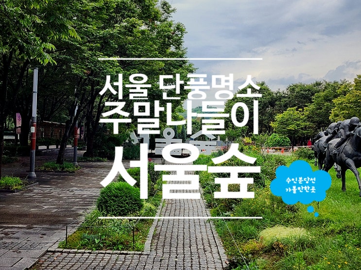  서울 성수 가볼만한곳 서울숲 공원 데이트 산책 코스
