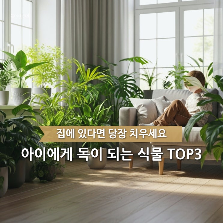  '피부염부터 구토까지..?' 무심코 뒀다 아이에게 위험한 독성식물 TOP3