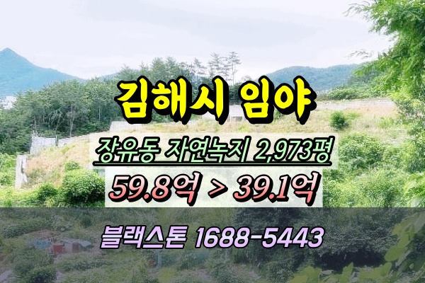  김해시 장유동 임야 경매 3천평 개발부지