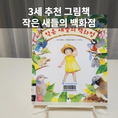  3세 추천 그림책 [작은 새들의 백화점], 언어와 상상이 피어나는 마음의 공간