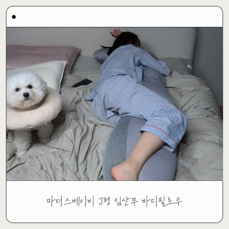  임산부 바디필로우 마더스베이비 출산 선물 추천