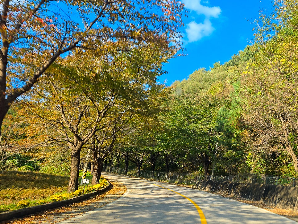삼막골 사진 6
