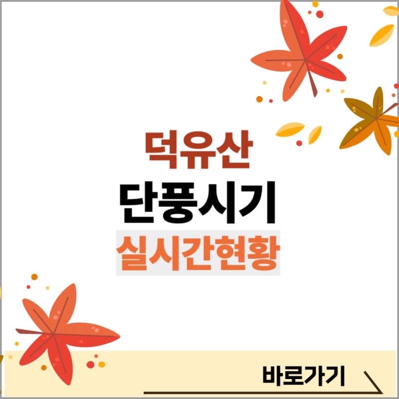 덕유산 단풍시기 절정 2025 실시간 현황