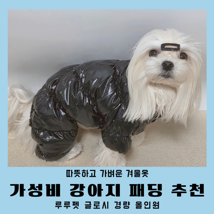 강아지겨울옷 저렴한 루루펫 경량 올인원 패딩 후기