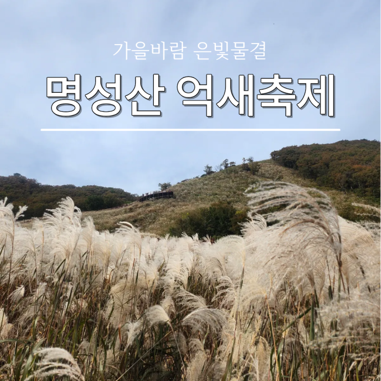  명성산 억새축제 2025 기간 입장료 주차장 등산코스