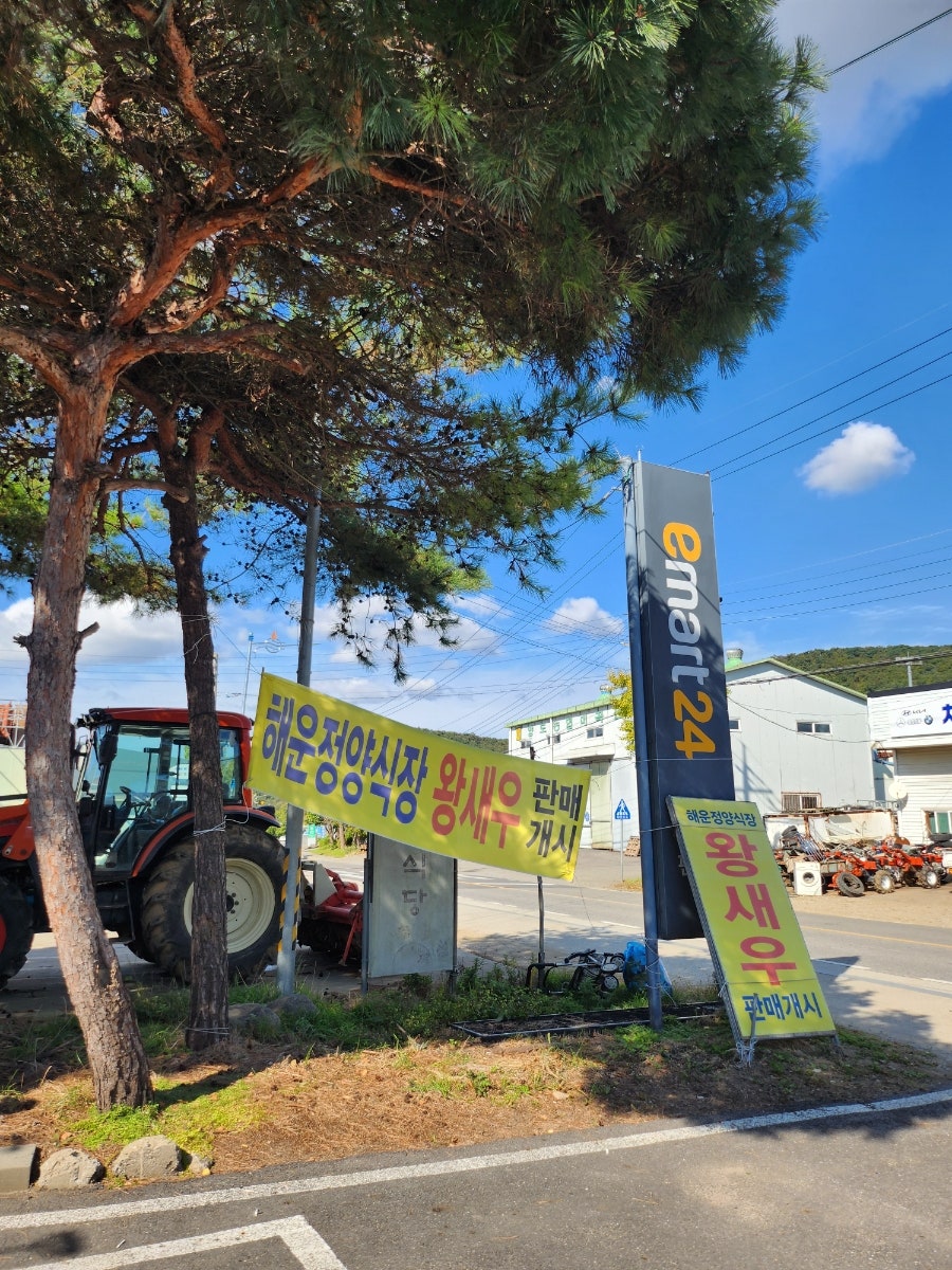 해운정왕새우양식장 직영매장1호점 사진 3
