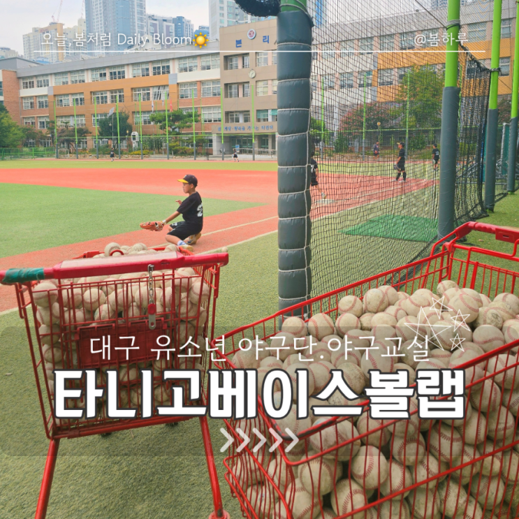  대구 유소년 야구교실 연습게임부터 리그까지!  "타니고베이스볼랩"