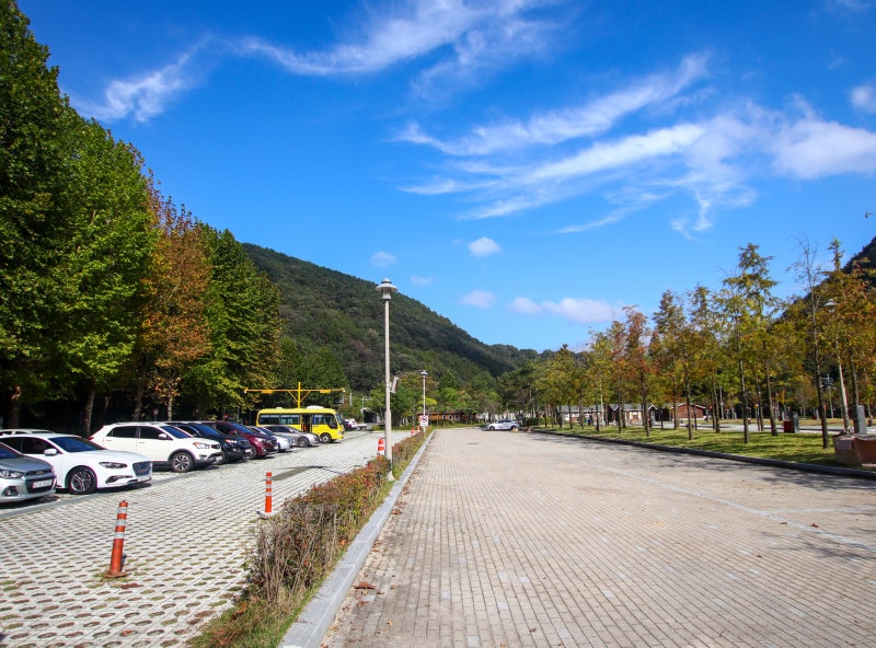 상소동 산림욕장