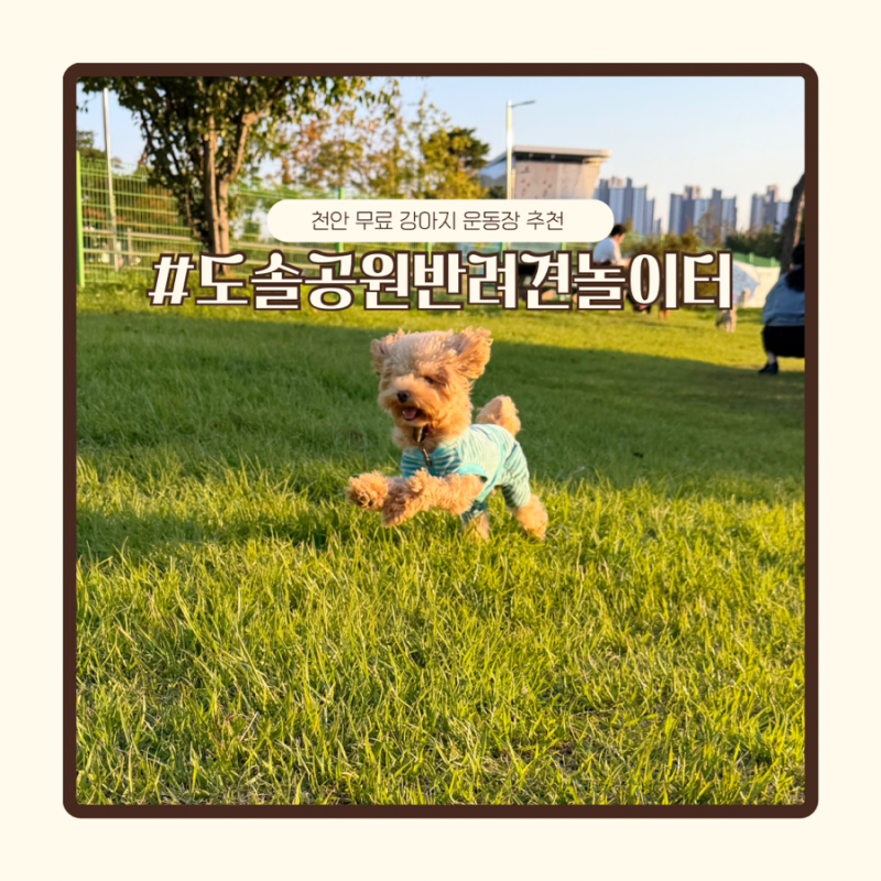 사진 5