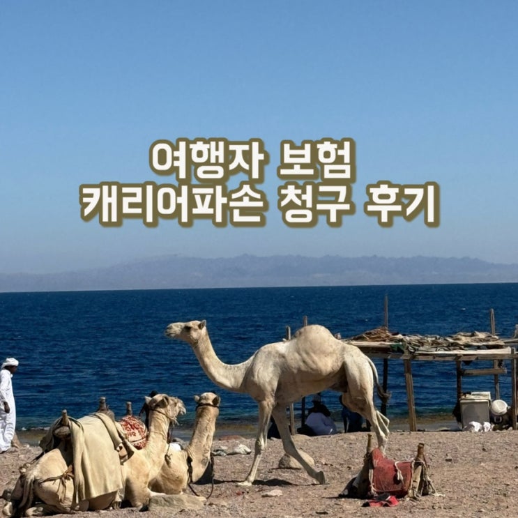  여행자보험 캐리어파손 보험금 청구 후기 KB손해보험