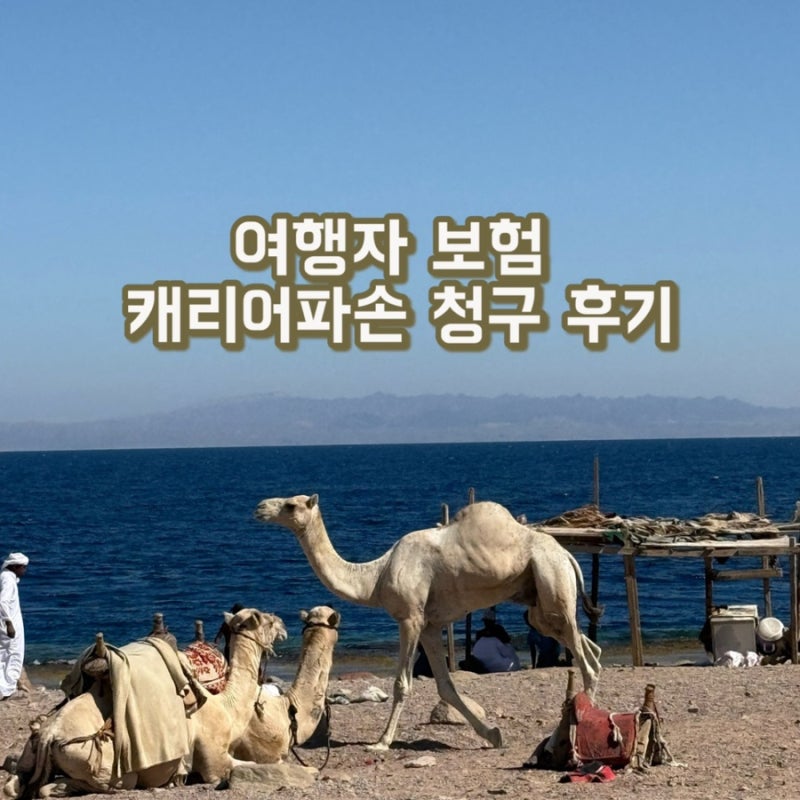 여행자보험 캐리어파손 보험금 청구 후기 KB손해보험