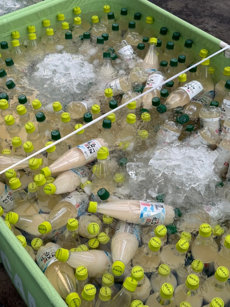 전주 중앙시장 한사발 막걸리축제 / 전주페스타 막걸리축제 먹거리 정보