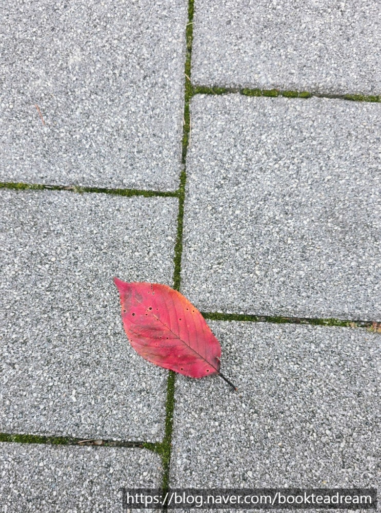  [아침 일기] 2025.10.25 불태운 다음날은 뿌듯하다.