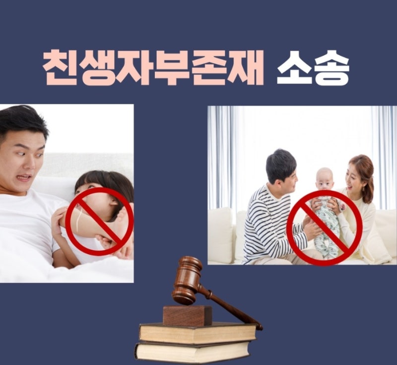 친생자부존재 소송 관련 이미지 1