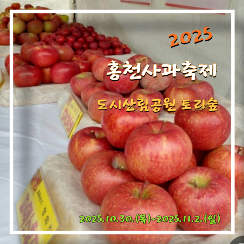 홍천사과축제 기본정보 2025 토리숲에서 개최하다
