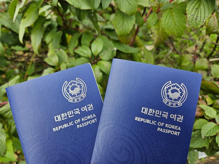  세종시 여권발급 세종시청 미성년자 여권신청 준비물