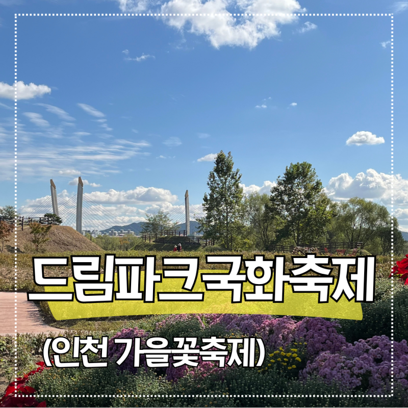 인천 가을꽃축제 드림파크국화축제 가는길 주차 총정리