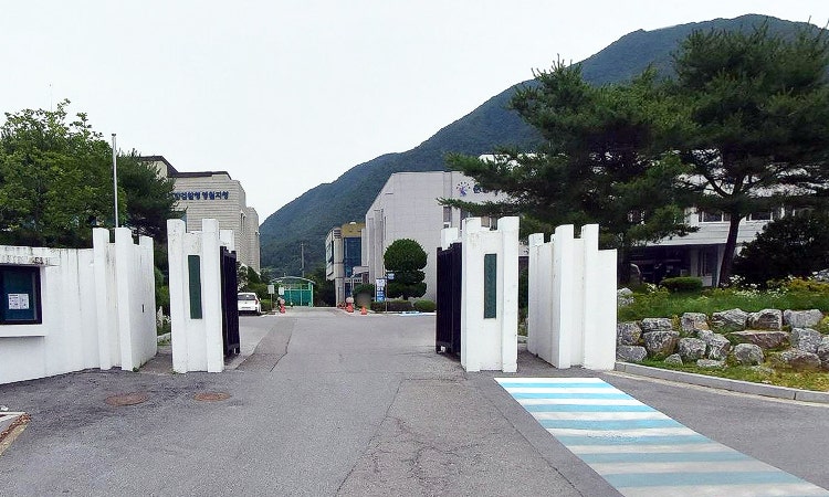 춘천지방법원 영월지원 태백시법원 사진 2