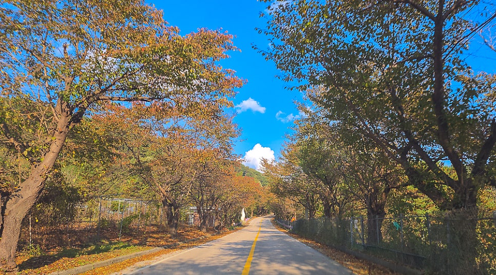 삼막골 사진 4