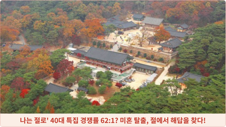  나는 절로' 40대 특집 경쟁률 62:1? 미혼 탈출, 절에서 해답을 찾다!