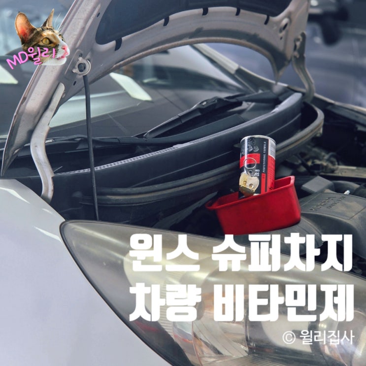  엔진 코팅제 엔진 누유 방지제 엔진오일 첨가제 추천 윈스 슈퍼차지 차가 마시는 비타민