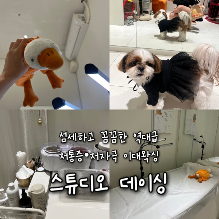  섬세하고 꼼꼼한 역대급 저통증•저자극 브라질리언왁싱 잘하는 이대왁싱 “스튜디오데이싱”
