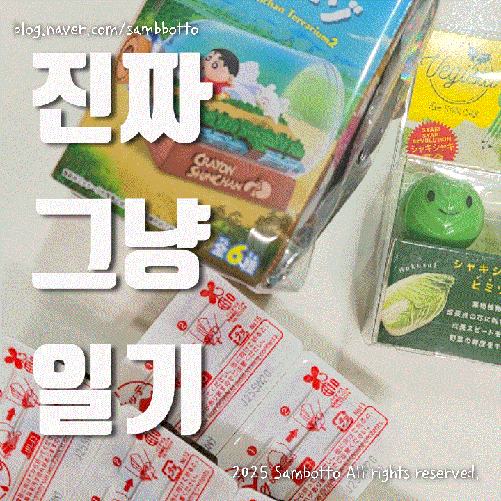  진짜 그냥 일기 | 지인들과 헤이리 데이트, 파주 아울렛 근처 맛집 발견