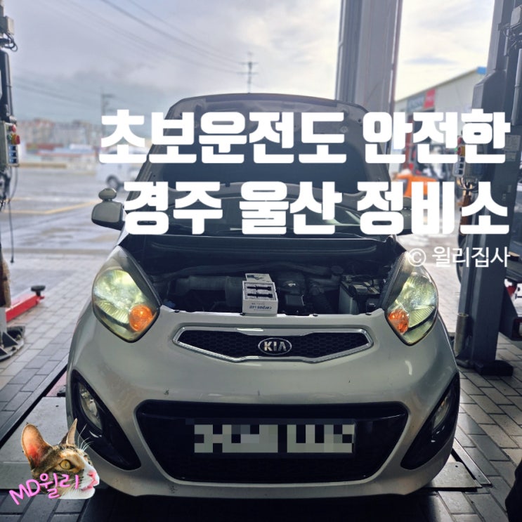  기아오토큐 외동점 경주 울산 초보운전 모닝 정비 재방문 후기(흡기 호스, LED 라이트, 트렁크 버튼 교체)