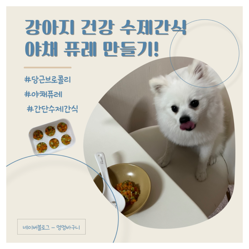 [펫푸드] 강아지 당근 브로콜리 퓨레 만드는 법! 소화력 높여주기