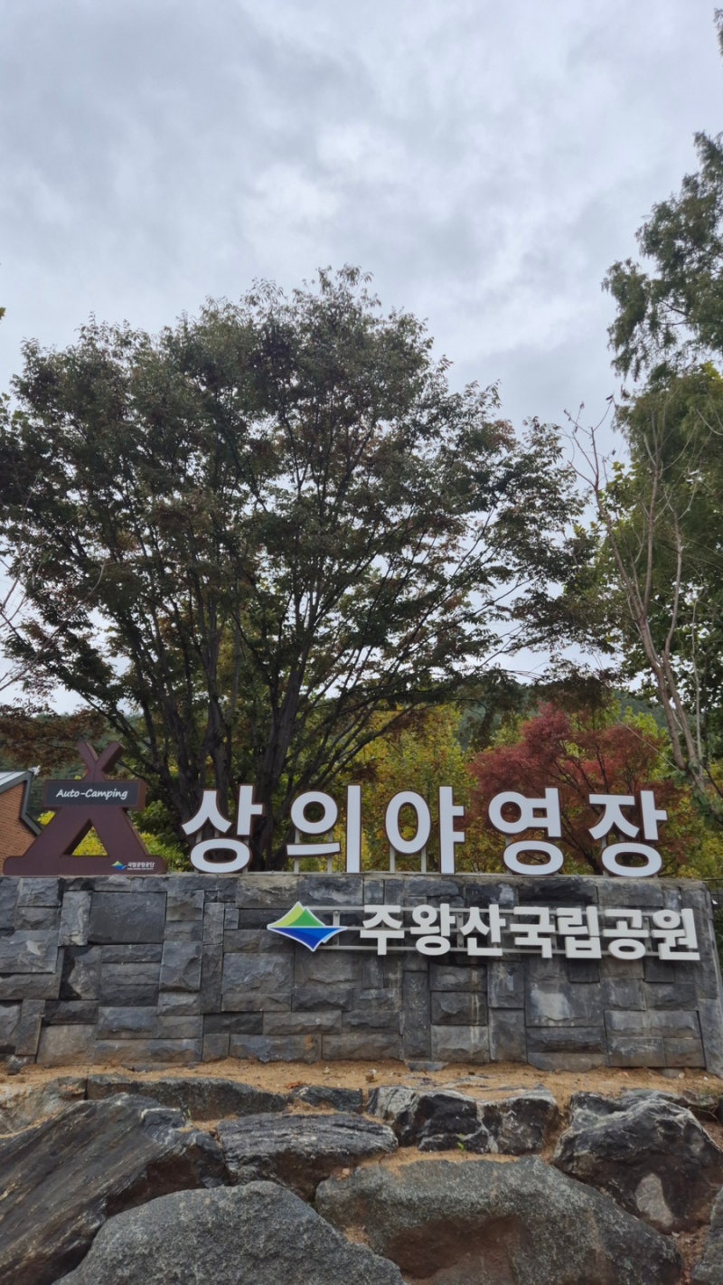 새로 개장한 청송 주왕산 ’상의야영장‘ 251025