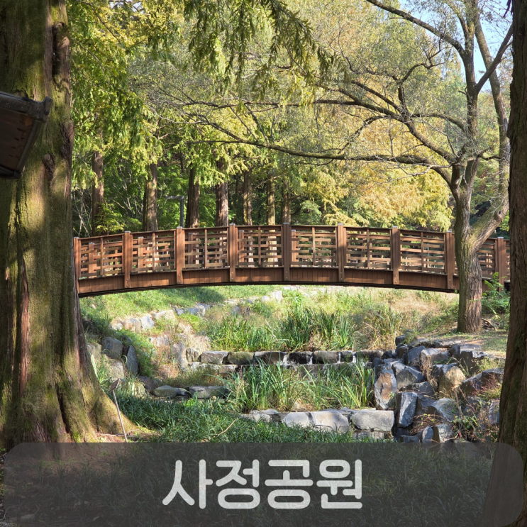  대전 보문산 사정공원, 아이와 반려견이 함께 즐기는 도심 속 피크닉 명소