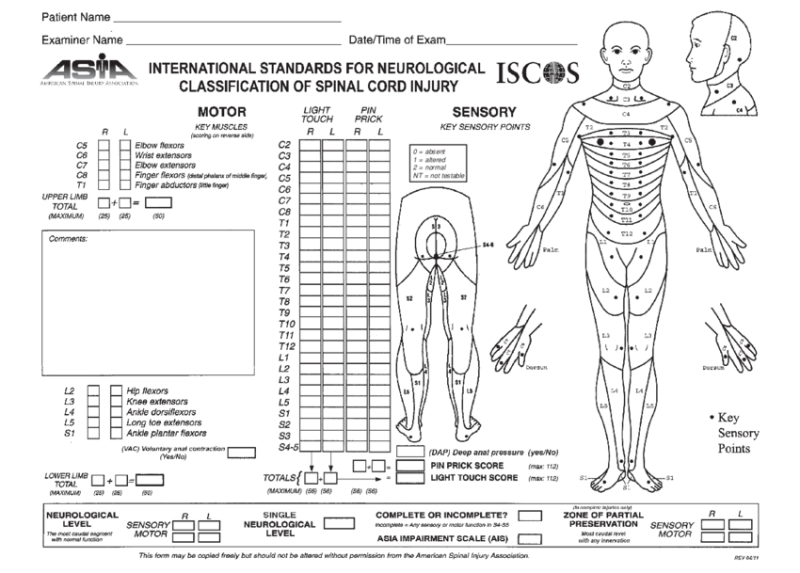 척수손상과 평가지표인 ASIA Scale : 네이버 블로그