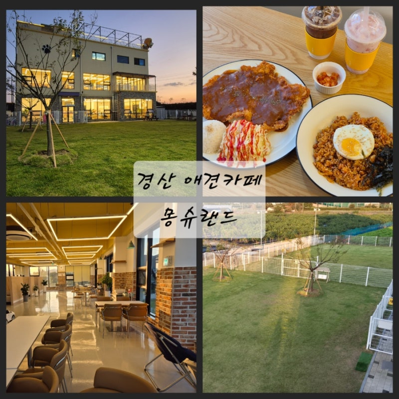 사진 6